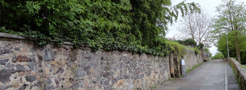 alte Stadtmauer,
 Foto: Gerhard Hund